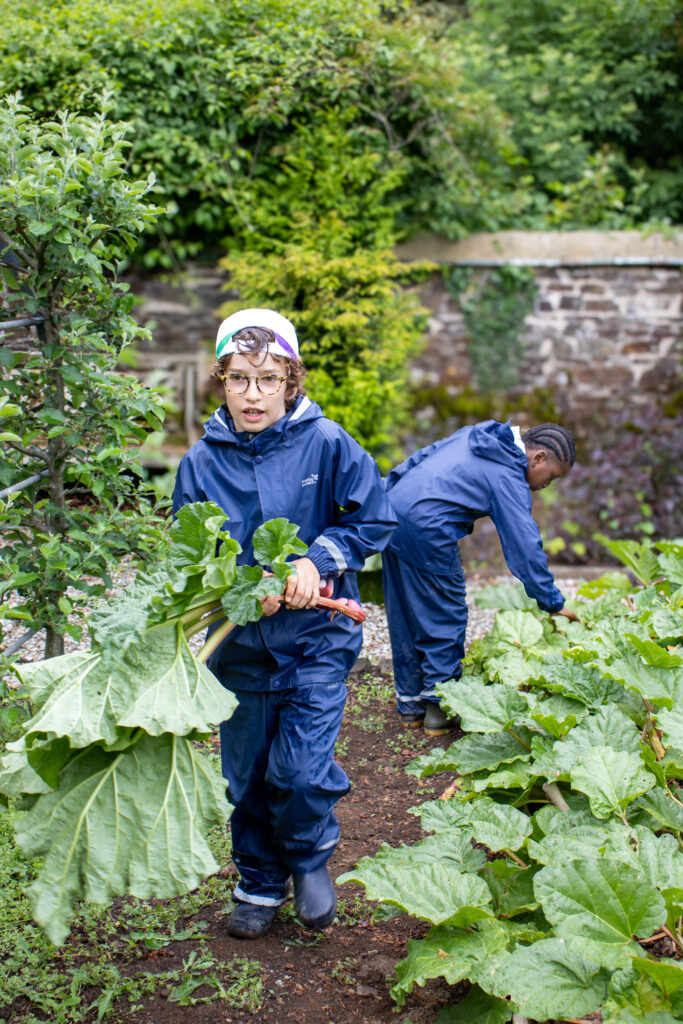 Two boys in blue overalls pick food
