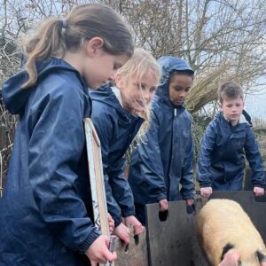 A group of children in blue overalls get a pig onto a truck.