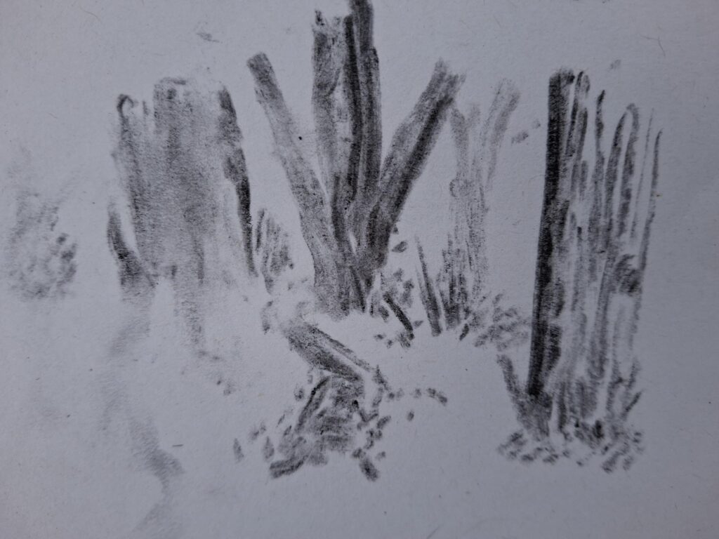 A charcoal sketch